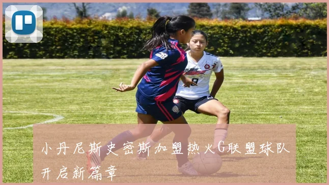 小丹尼斯史密斯加盟热火G联盟球队开启新篇章