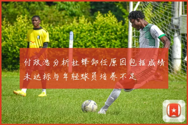 付政浩分析杜锋卸任原因包括成绩未达标与年轻球员培养不足