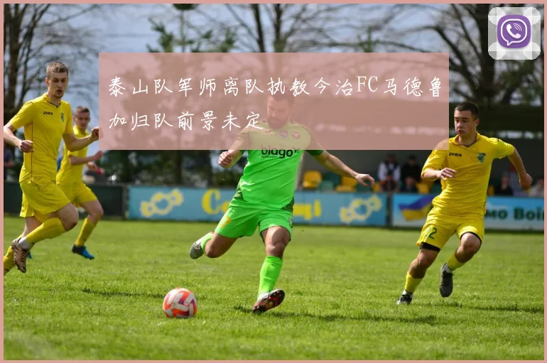 泰山队军师离队执教今治FC马德鲁加归队前景未定