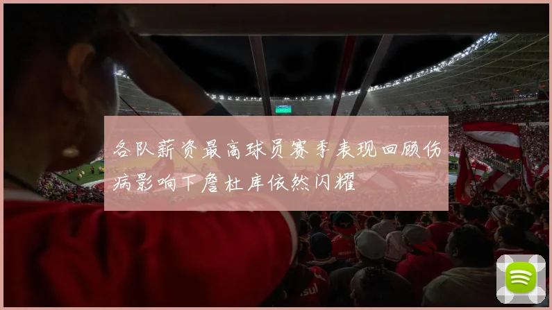 各队薪资最高球员赛季表现回顾伤病影响下詹杜库依然闪耀