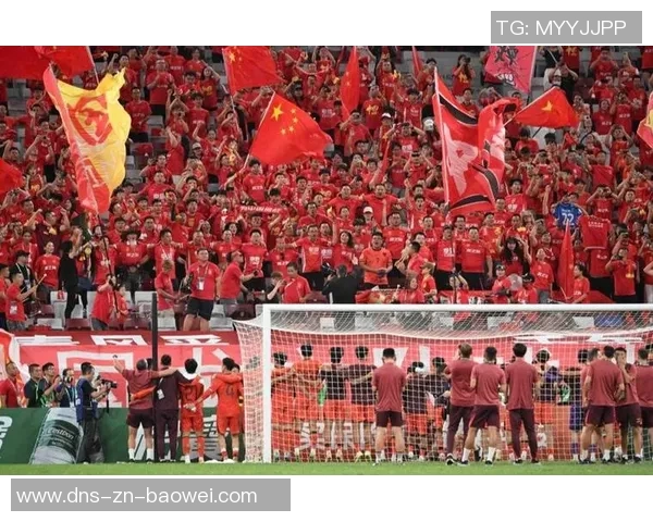 2025年中国足球观众人数统计国足对澳大利亚赛事吸引超七万人观赛